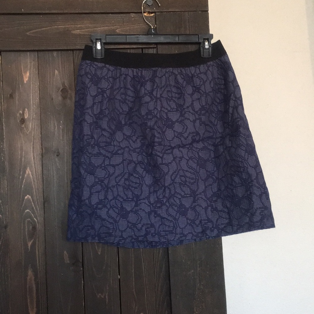 Ann Taylor Skirt